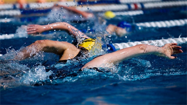 Image pour : Masters Loisirs 26-27