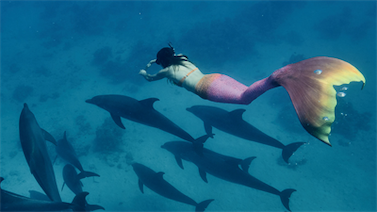 Image pour : MERMAIDING ENFANT MARDI 18H ANNUEL