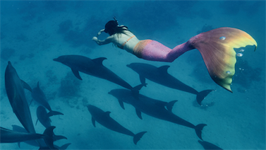 Image pour : MERMAIDING ENFANT MARDI 17H ANNUEL
