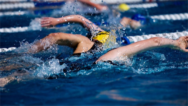 Image pour : Masters Soirs 26-27